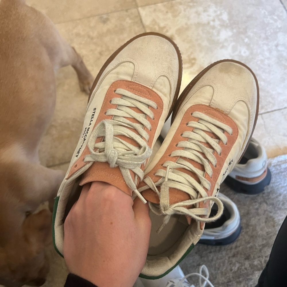 Used Sneakers: Stella McCartney